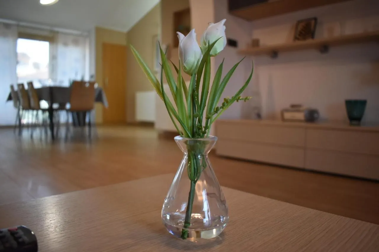 Διαμέρισμα Charming Sunshine Home Πούλα